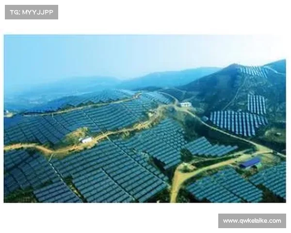 精练石中盐提取技术的工业化应用前景与挑战分析 精练石中盐提取技术的工业化应用前景与挑战分析