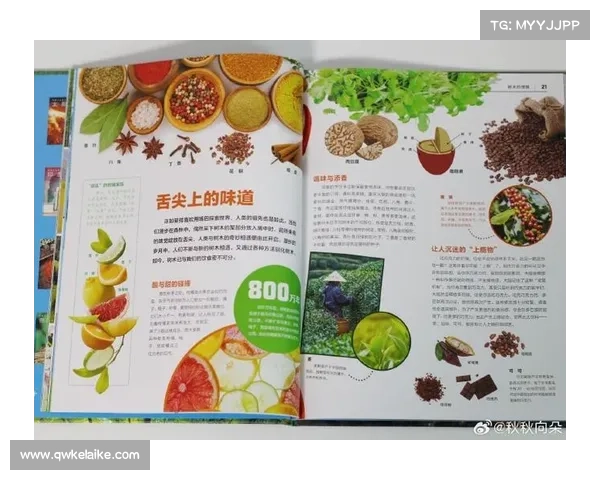 踏入神兽森林秘境探寻奇幻生物起源揭开自然界神秘面纱