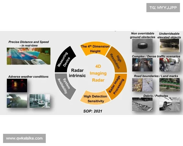 德国队换血时代的抉择与重建之路理性分析未来发展策略