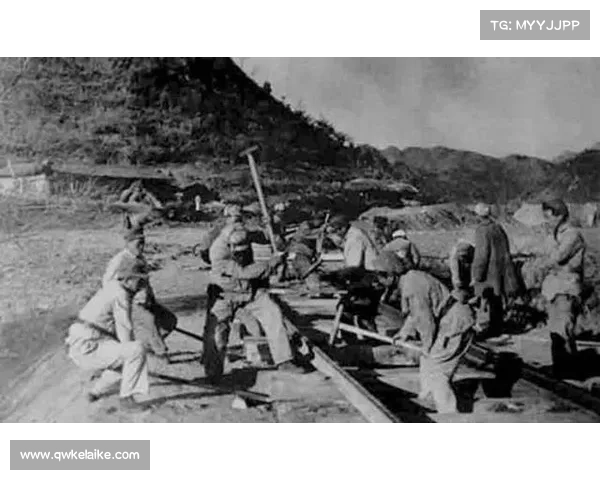 揭开纳英戈兰战术秘密的几种独特分析方法与实践应用